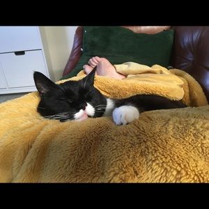 Meet your Posher, Sarah